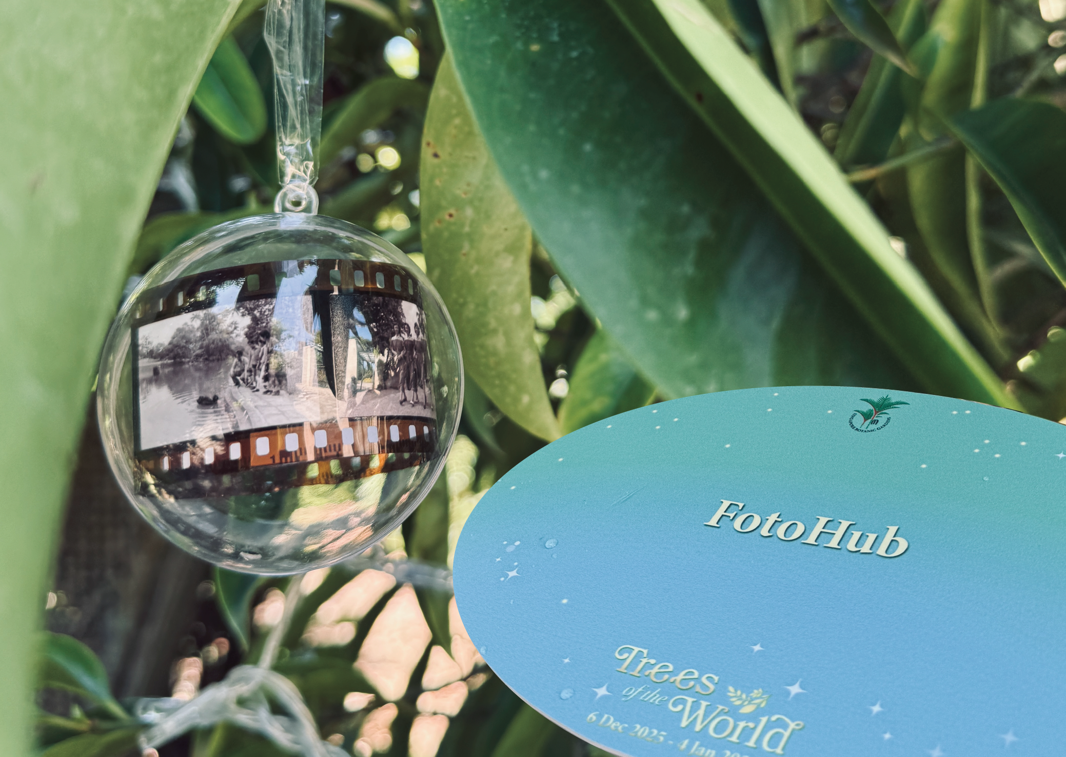 2025 Three of the World